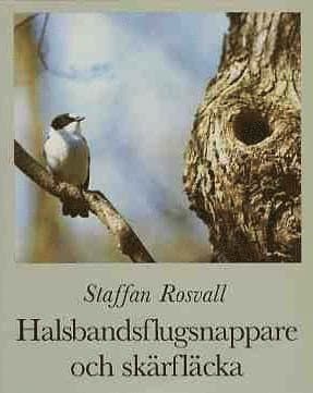 Halsbandsflugsnappare och skärfläcka : några gotländska fåglars historia