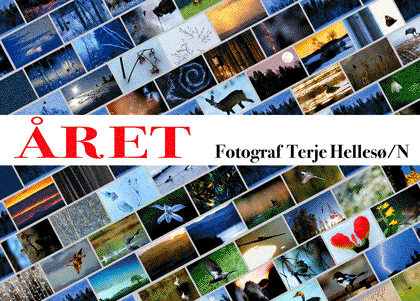 Året : en bild - ett ögonblick - varje dag hela året : uppgiften - resultatet