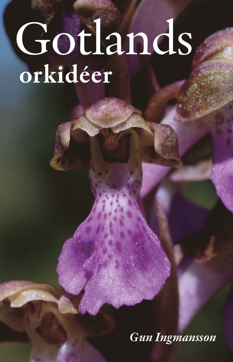 Gotlands orkidéer