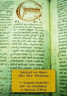Hildegard von Bingen: Liber vitae meritorum : 35 kosmiska livskrafter mot våra belastningar