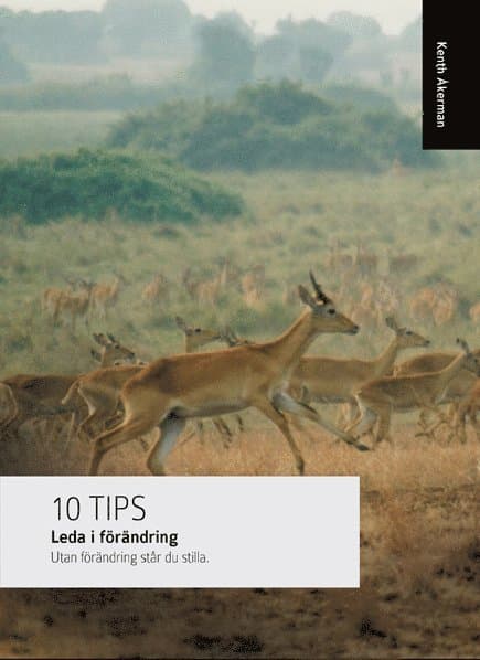 Leda i förändring : full fart framåt