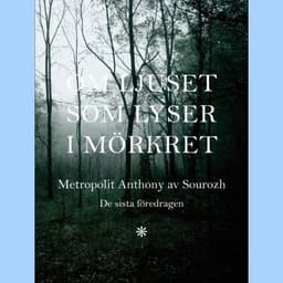 Om ljuset som lyser i mörkret