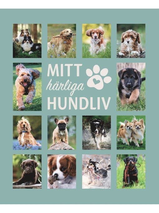 Mitt härliga hundliv