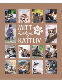 Mitt härliga kattliv
