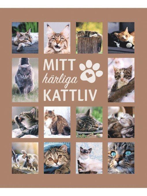 Mitt härliga kattliv