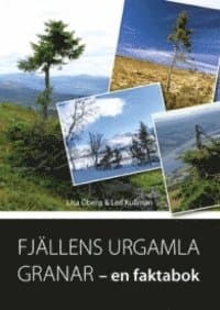 Fjällens urgamla granar