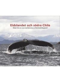 Eldslandet och södra Chile : bilder från en resa med kamera