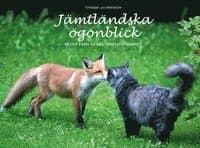 Jämtländska ögonblick : bilder från 45 års yrkesverksamhet