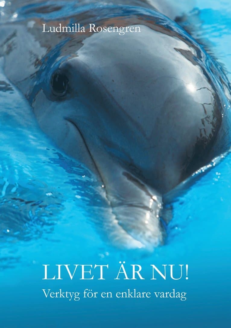 Livet är nu! : verktyg för en enklare vardag