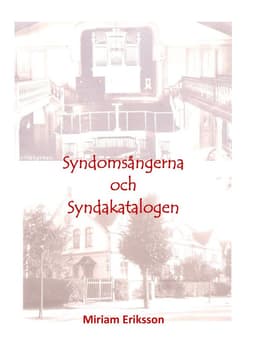 Syndomsångerna och syndakatalogen