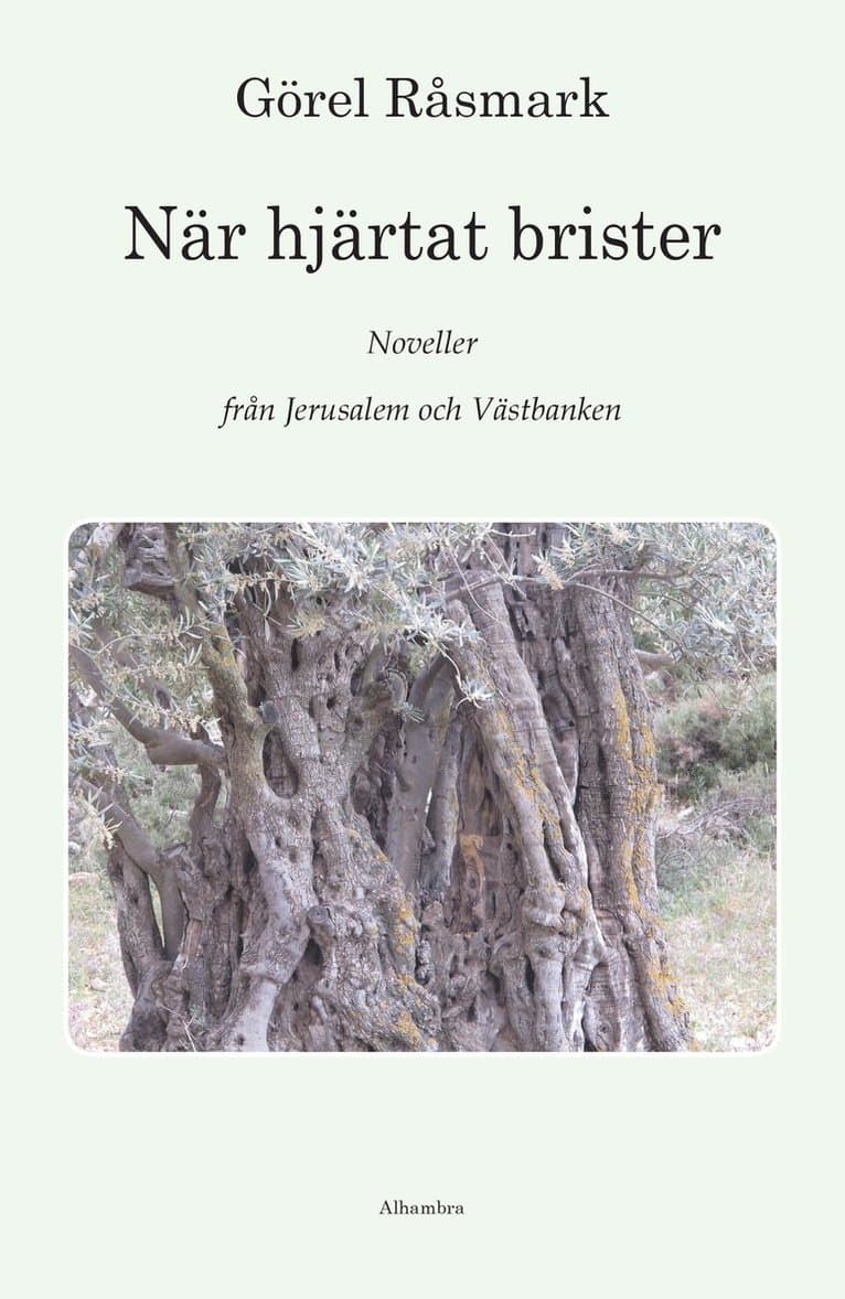 När hjärtat brister : noveller från Jerusalem och Västbanken