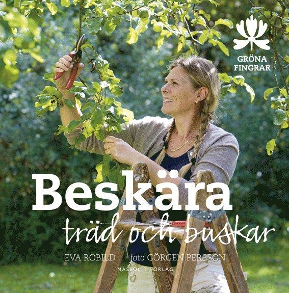 Beskära träd och buskar