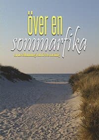 Över en sommarfika : en novellantologi om livets mening