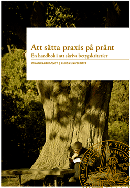 Att sätta praxis på pränt