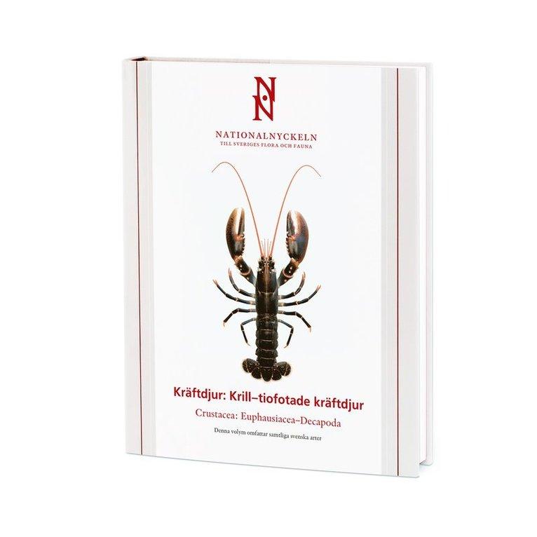 Kräftdjur: Krill–tiofotade kräftdjur. Crustacea: Euphausiacea–Decapoda