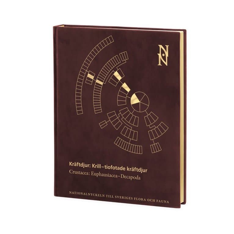 Kräftdjur: Krill–tiofotade kräftdjur. Crustacea: Euphausiacea–Decapoda