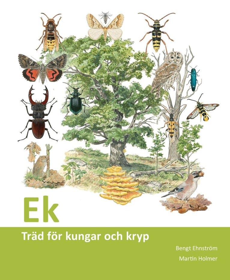 Ek : träd för kungar och kryp