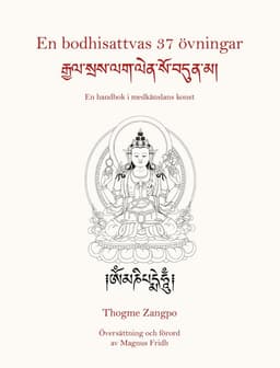 En bodhisattvas 37 övningar