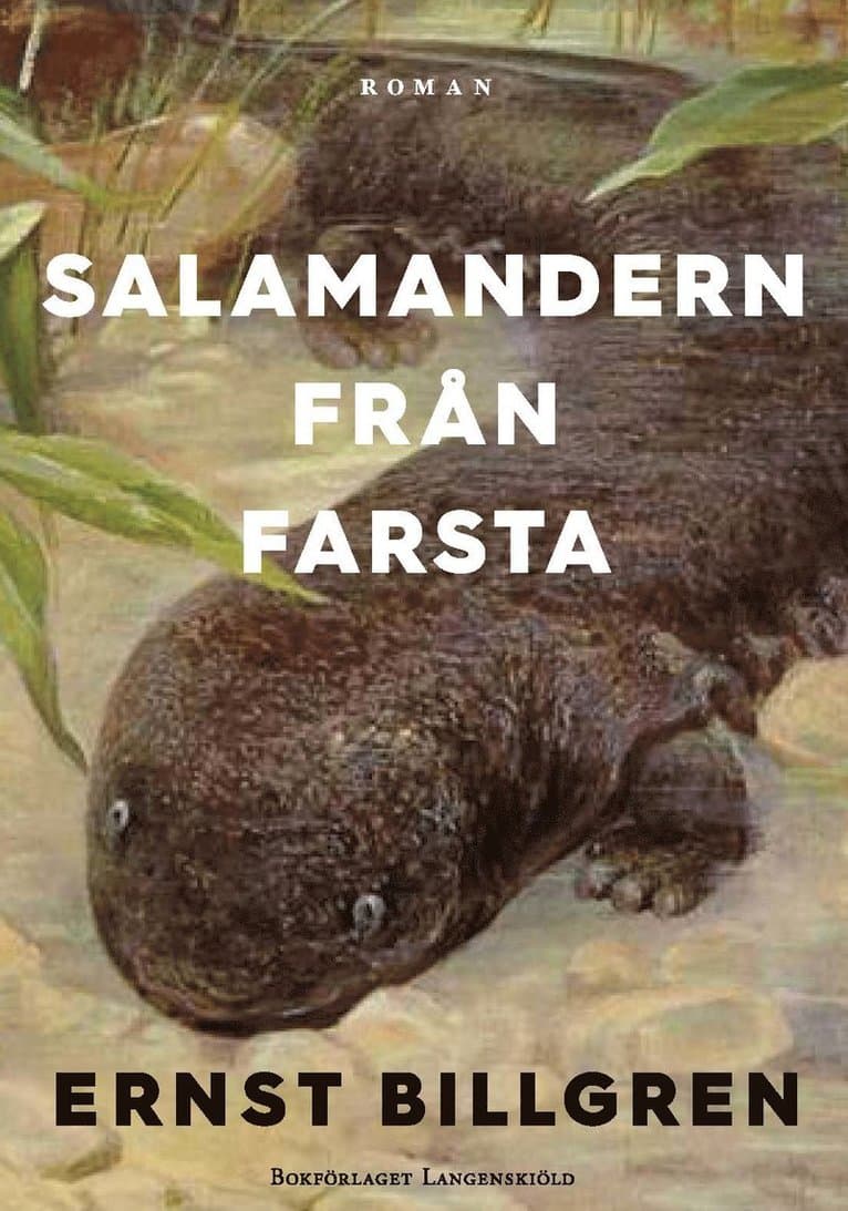 Salamandern från Farsta