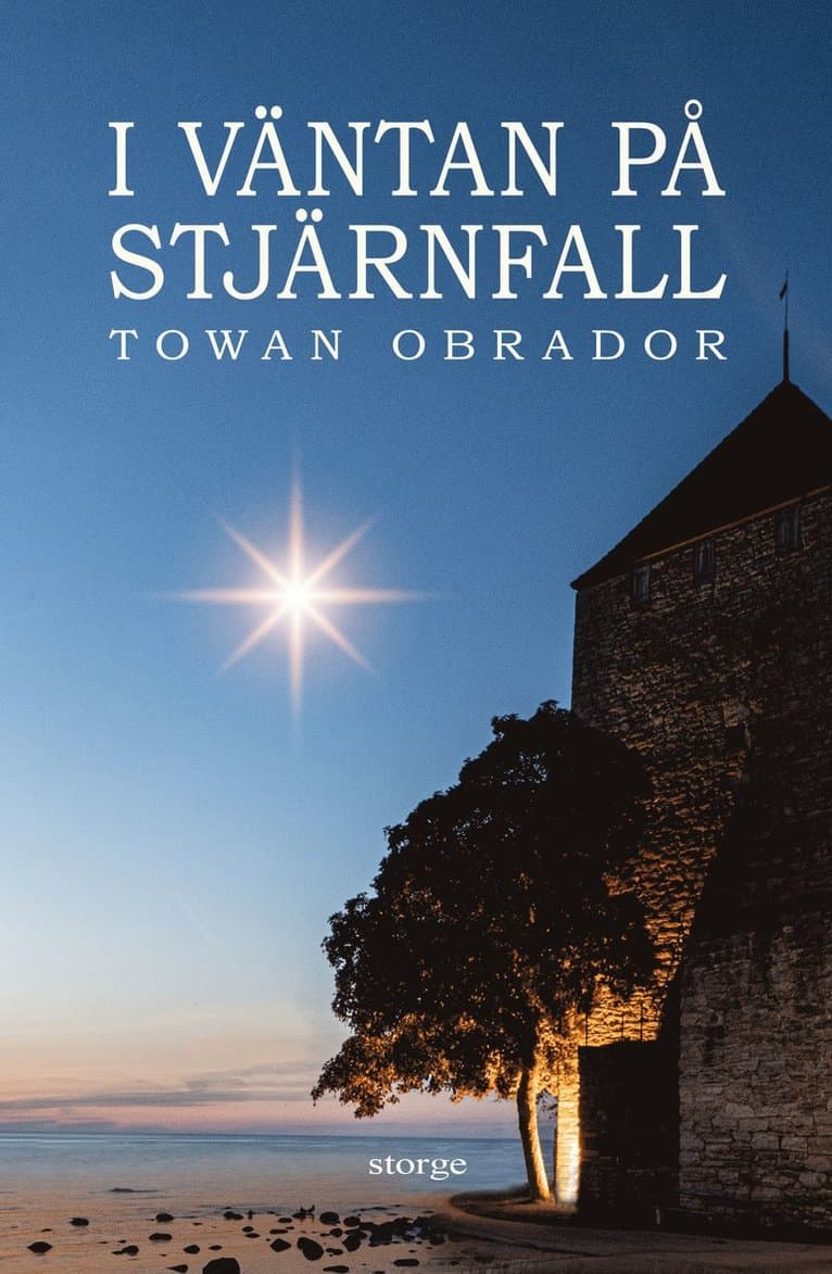 I väntan på stjärnfall