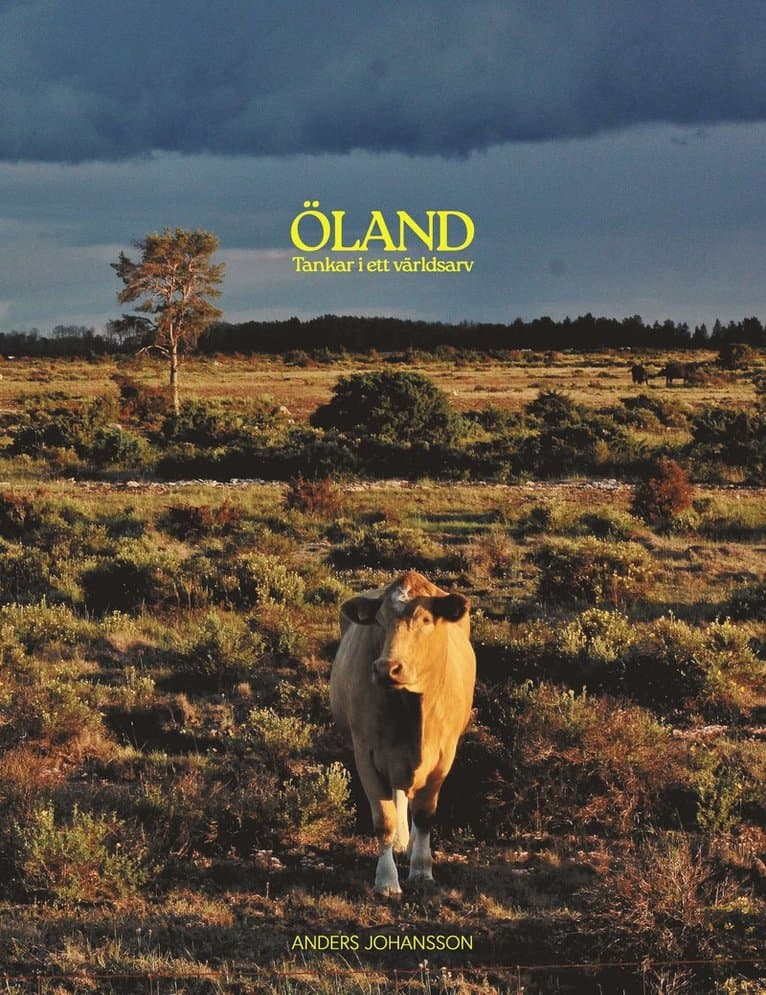 Öland, tankar i ett världsarv