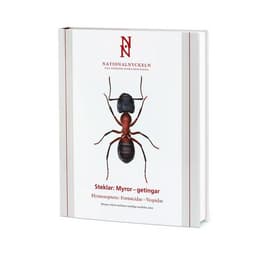 Steklar : myror - getingar. Hymenoptera : formicidae - vespidae