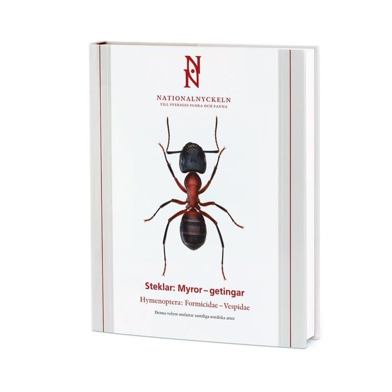 Steklar : myror - getingar. Hymenoptera : formicidae - vespidae