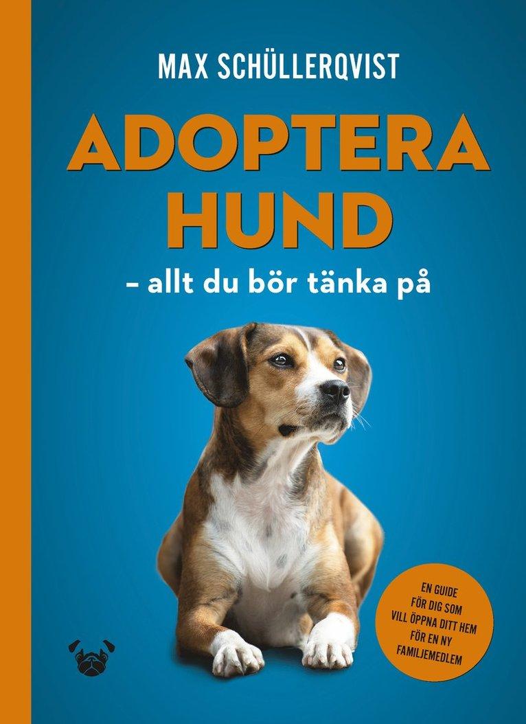 Adoptera hund : allt du bör tänka på