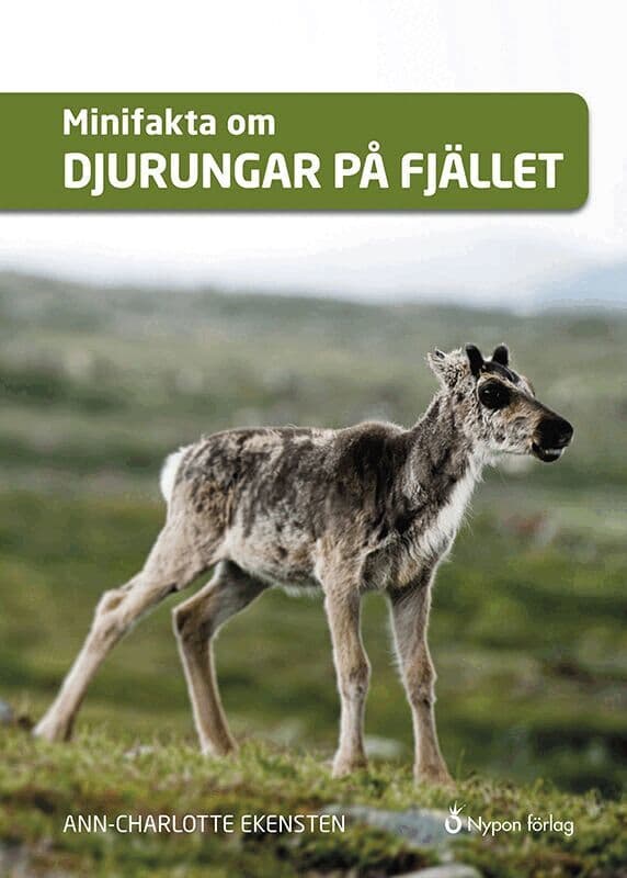 Minifakta om djurungar på fjället