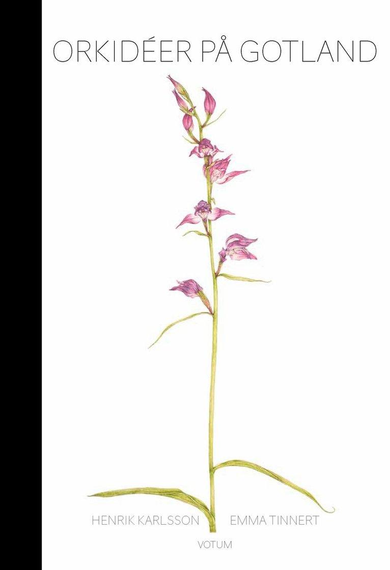 Orkidéer på Gotland