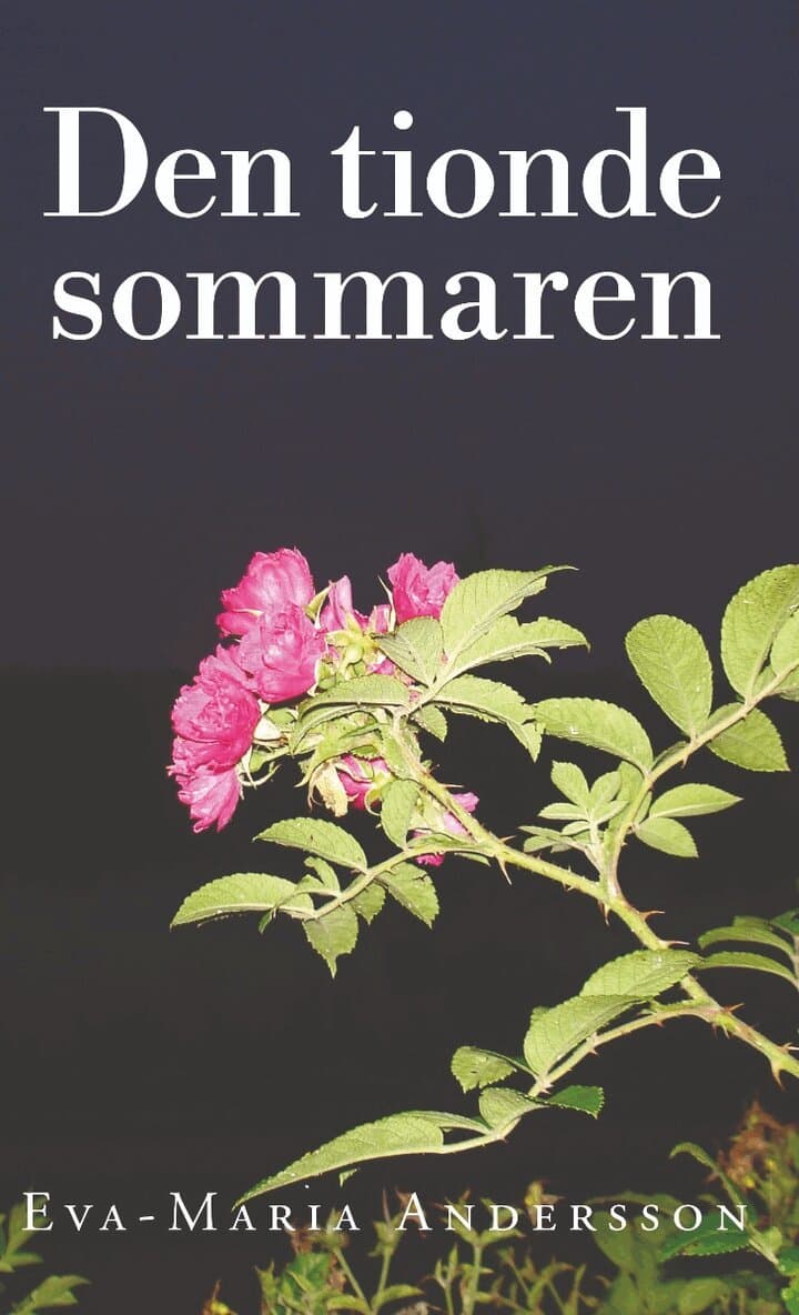 Den tionde sommaren