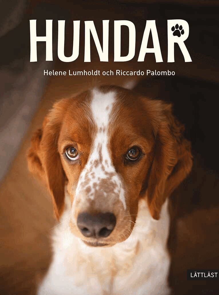 Hundar