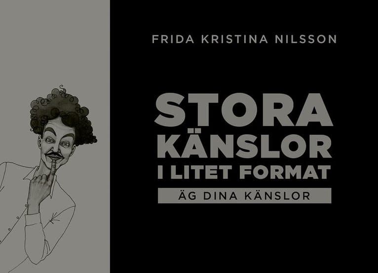 Stora känslor i litet format : äg dina känslor (svart)