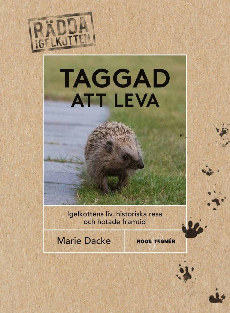 Taggad att leva : igelkottens liv, historiska resa och hotade framtid