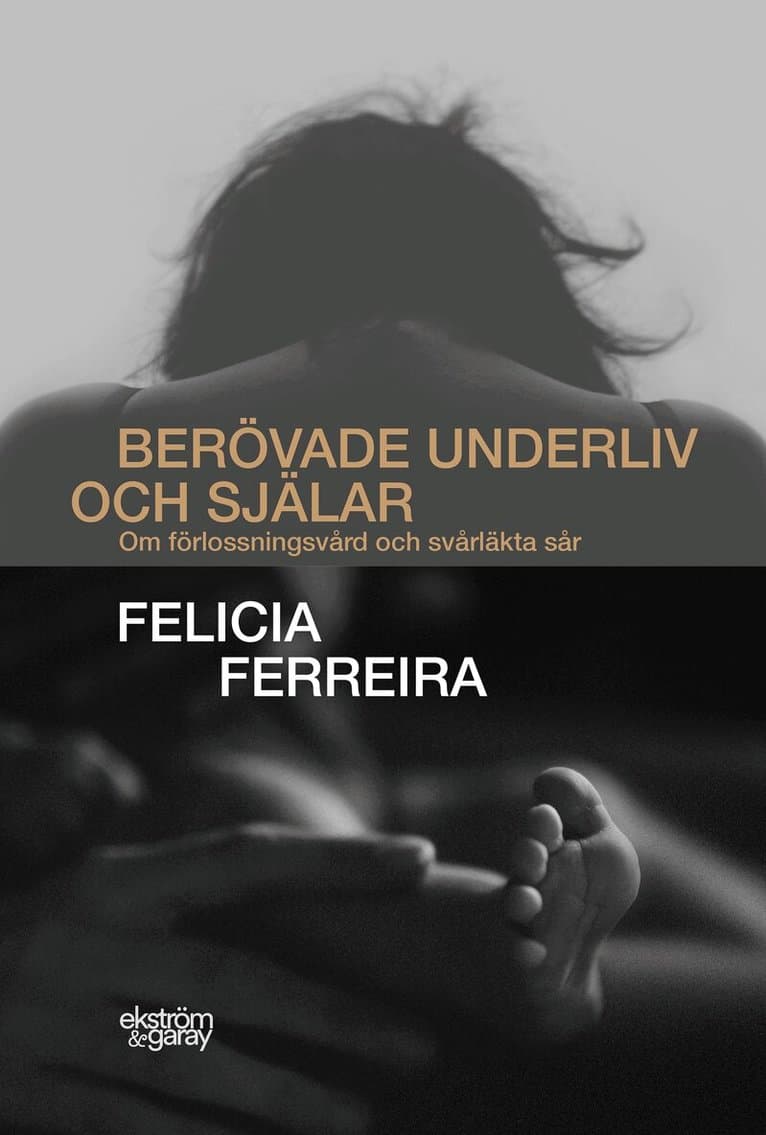 Berövade underliv och själar : om förlossningsvård och svårläkta sår