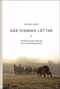 När dimman lättar : att hitta sin egen rätta väg ut ur utmattningssyndrom