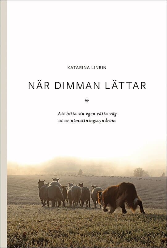 När dimman lättar : att hitta sin egen rätta väg ut ur utmattningssyndrom