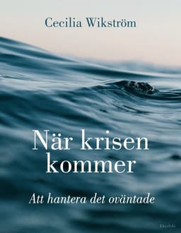 När krisen kommer : att hantera det oväntade