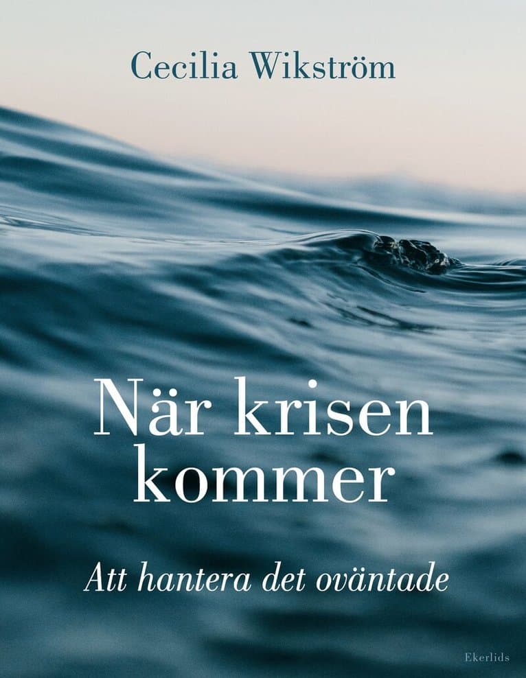 När krisen kommer : att hantera det oväntade