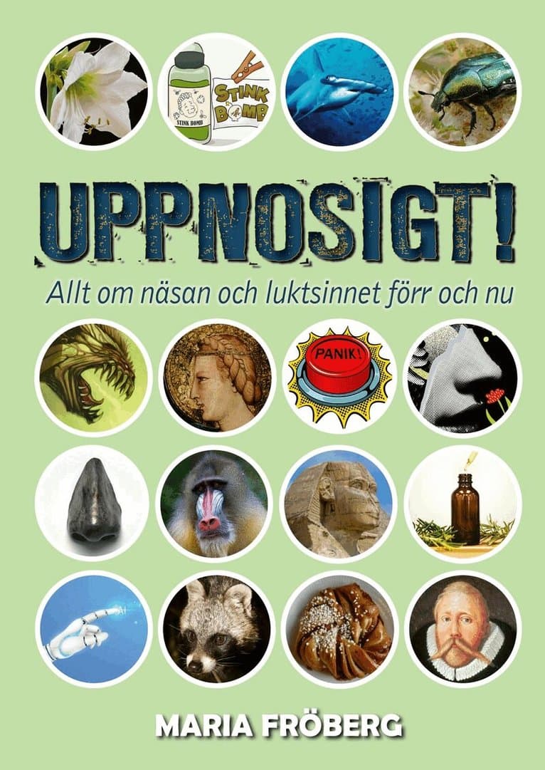 Uppnosigt! : allt om näsan och luktsinnet förr och nu