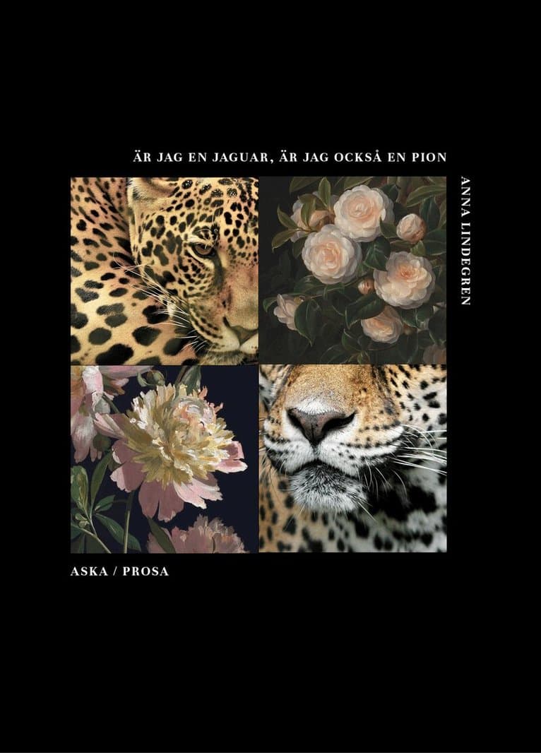 Är jag en jaguar, är jag också en pion