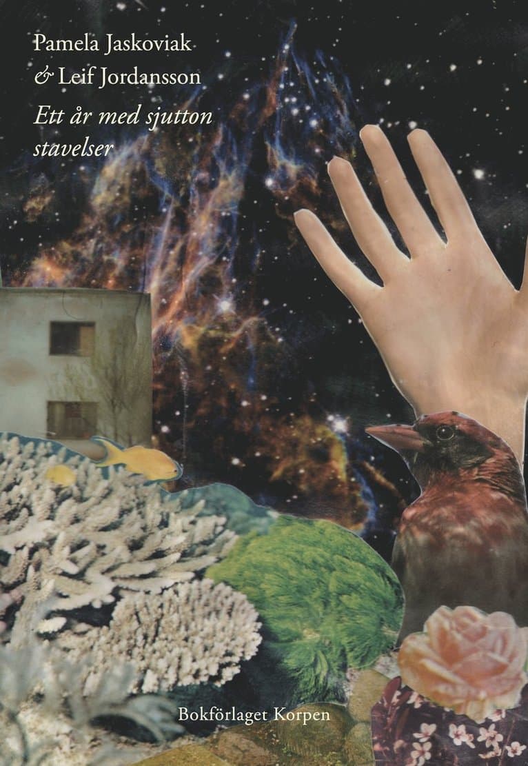 Ett år med sjutton stavelser