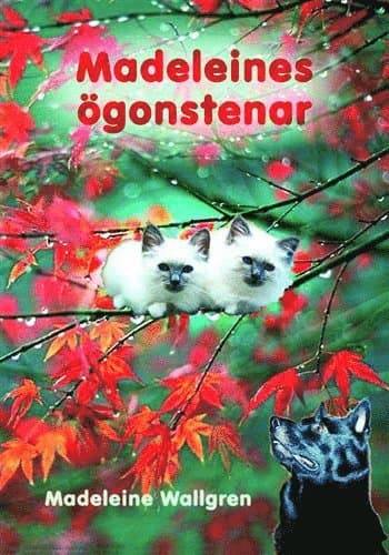 Guds och Madeleines ögonstenar