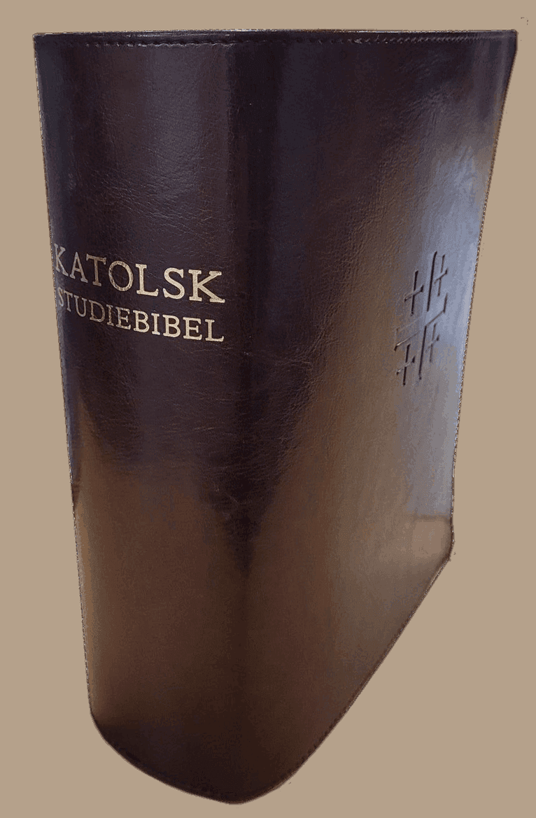 Katolsk studiebibel : Bibel 2000 med katolska kommentarer