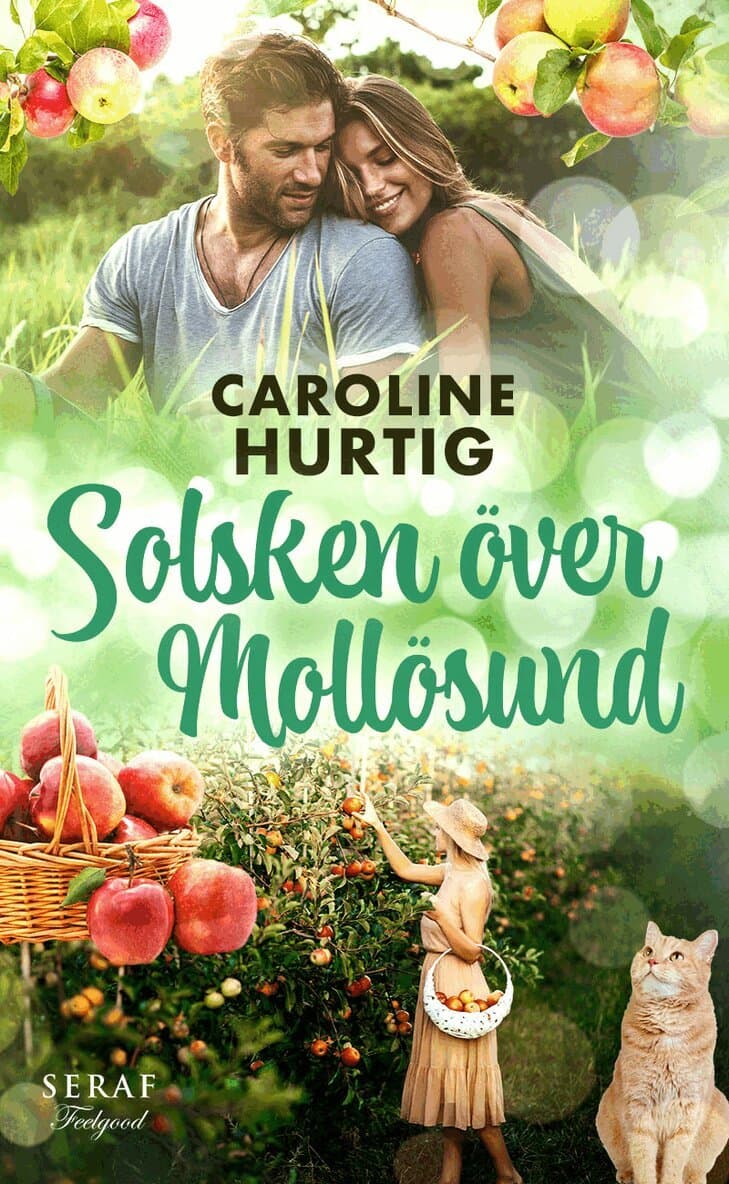 Solsken över Mollösund