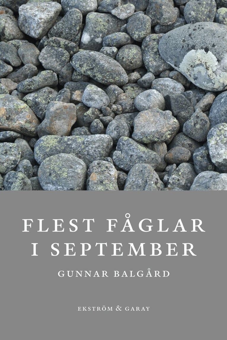 Flest fåglar i september