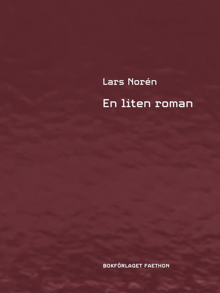 En liten roman
