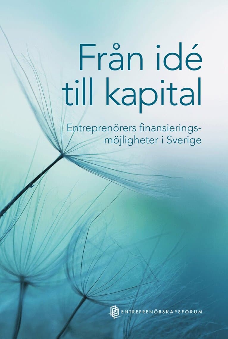 Från idé till kapital : entreprenörers finansieringsmöjligheter i Sverige