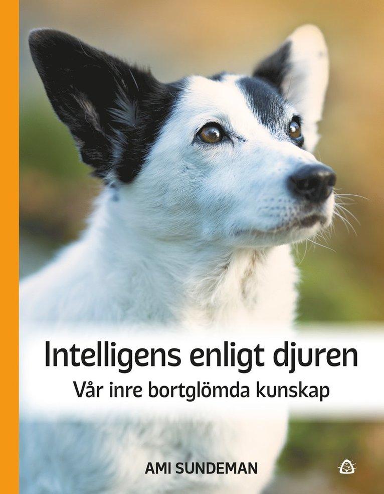 Intelligens enligt djuren : vår inre bortglömda kunskap