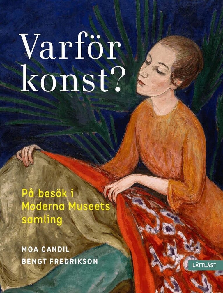 Varför konst? : på besök i Moderna Museets samling